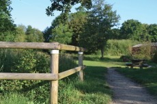 Réseau Trambus : focus sur le Bois de Sœuvres