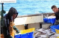 Observatoire de l’économie maritime en Bretagne – n°2