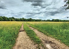 Sentier métropolitain : synthèse des réflexions et suite du projet