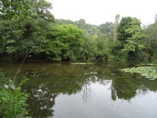 Valorisation des cours d’eau dans Rennes Métropole Vilaine amont