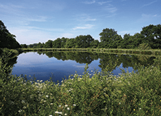 L’Atlas des milieux naturels d’intérêt écologique pour observer les réservoirs de biodiversité sur le Pays de Rennes