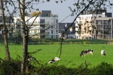 Observation foncière et partenariat entre EPFL et agences d’urbanisme