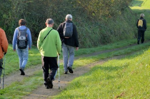 La mobilité décroît avec l’âge, en particulier après 75 ans