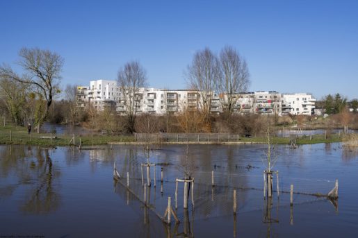Données socles pour piloter les transitions écologiques et énergétiques