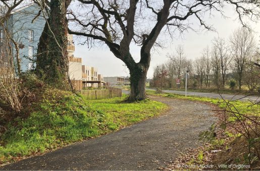 Lisières urbaines durables de Rennes Métropole des éléments “socles” de la ville archipel