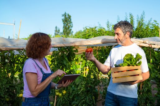 La filière biologique dans Rennes Métropole en 2024