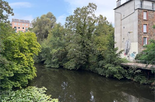 Atelier sur l’intégration de la biodiversité dans les politiques d’aménagement